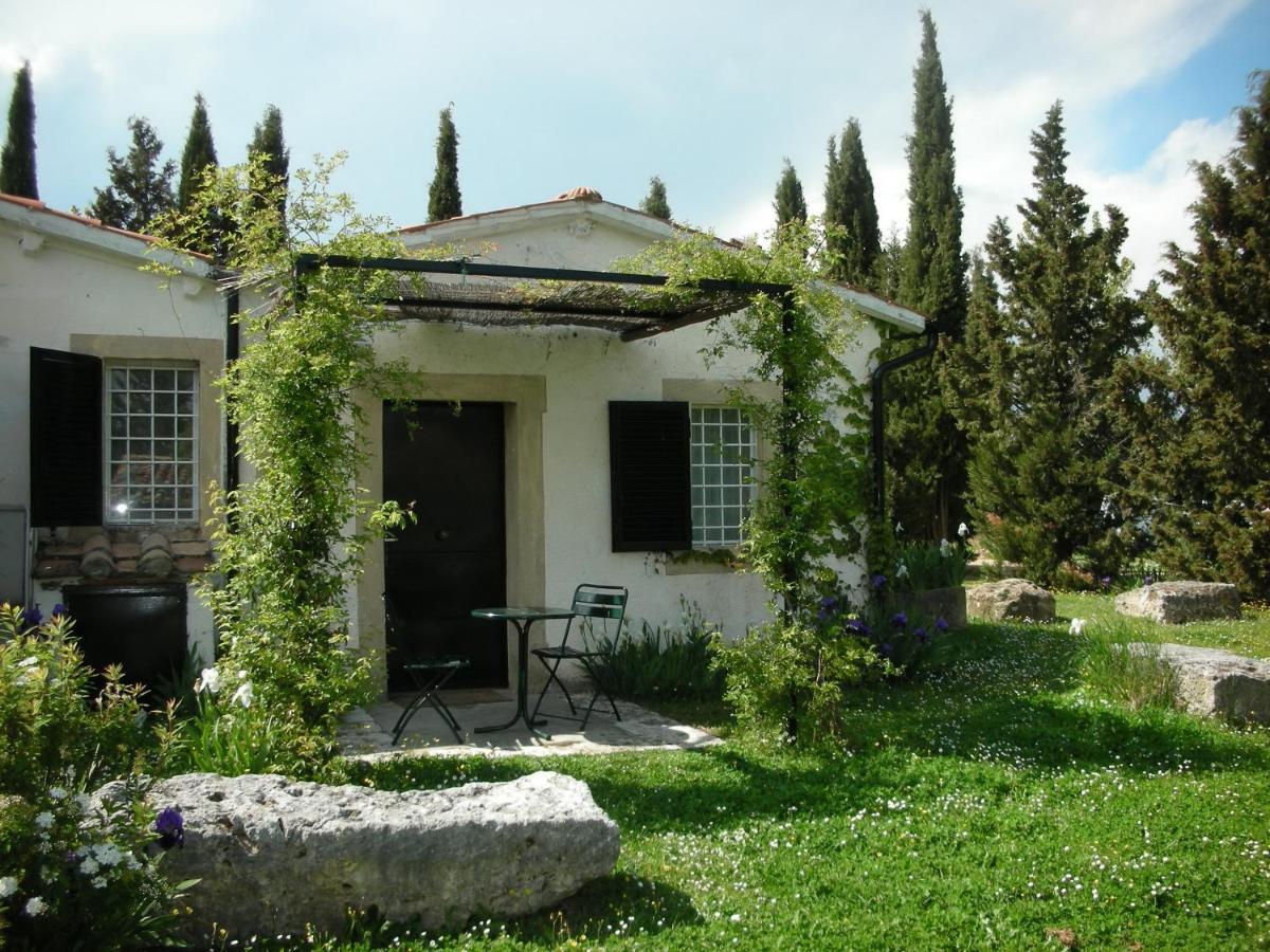 Vignagrande Agriturismo Saturnia Eksteriør billede